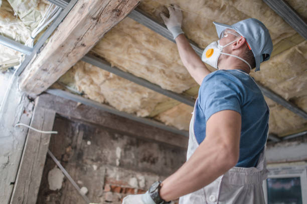 Best Insulation Materials and Products in Fair Oaks, VA